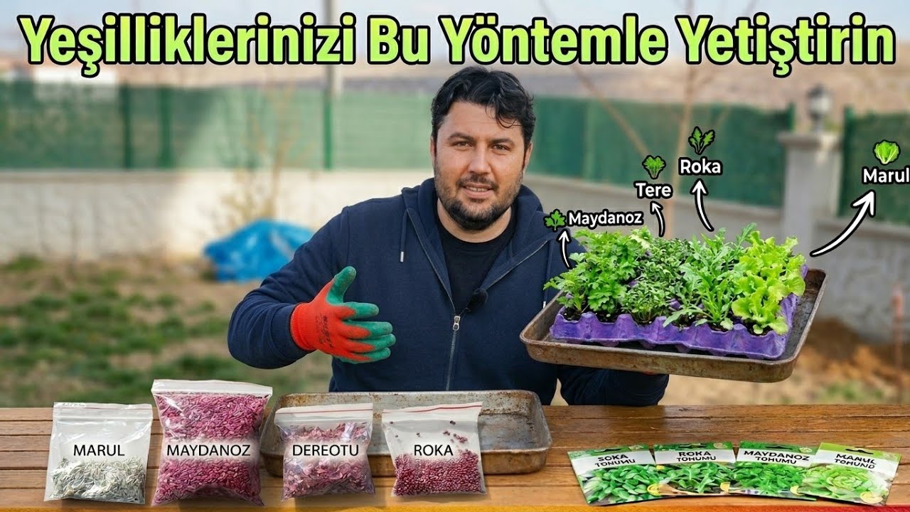 Yumurta Viyolü ile Yeşil Sebze Yetiştirme! (En Pratik Yöntem)