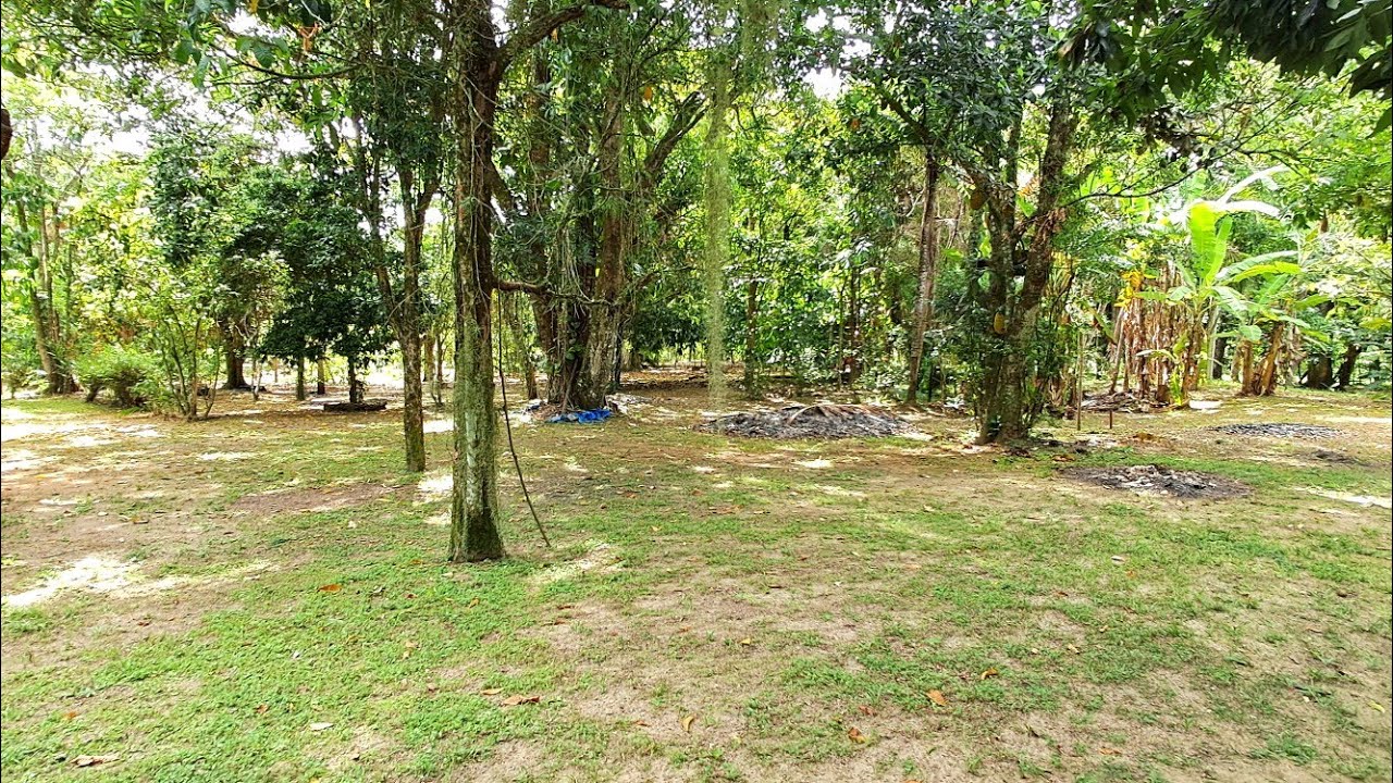 PROPRIEDADE COM 10.000M2 TOTALMENTE LEGALIZADA À VENDA EM SAQUAREMA-RJ 