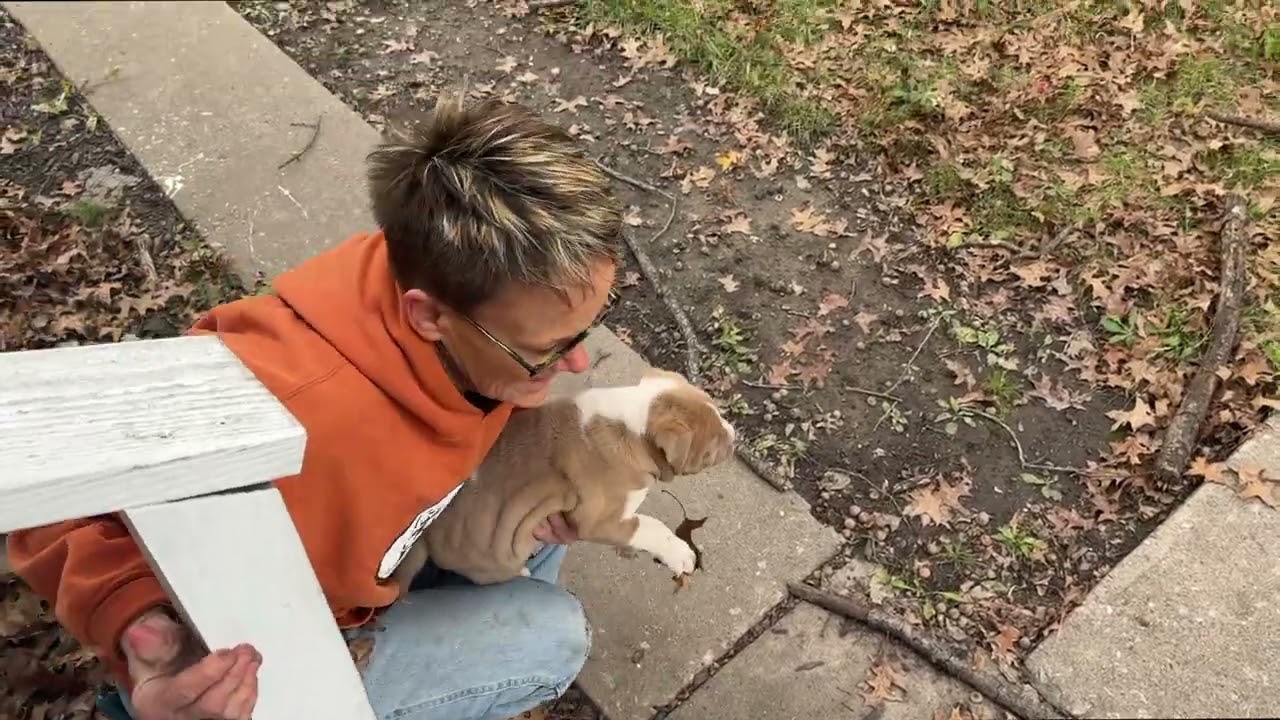 Mom & puppies saved from COLD - Stray Rescue of St.Louis