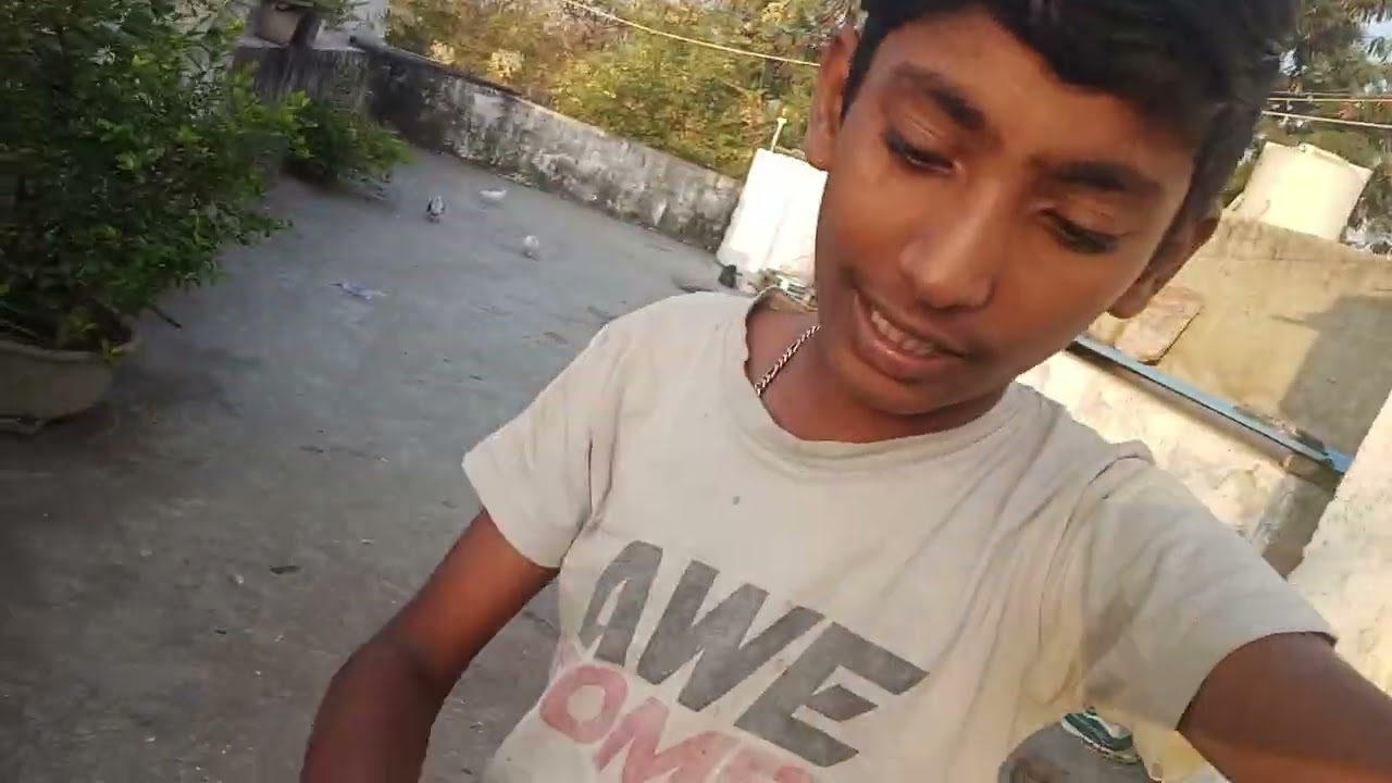 हमारे कबूतर का वीडियो देखें  🕊🕊🕊🕊🕊