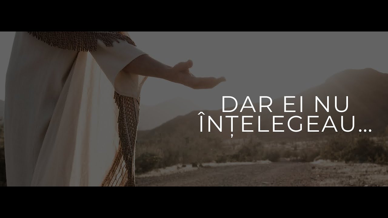 DAR EI NU ÎNȚELEGEAU...| Mihai Decean | Casa Tâmplarului