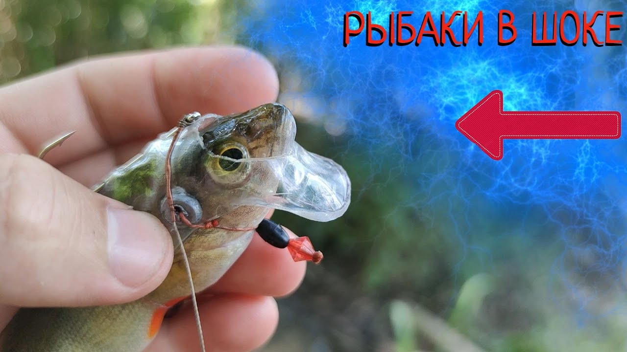 Революция в рыбалке - ВЗРЫВАЕТ ИНТЕРНЕТ /  Fishing Revolution!!!