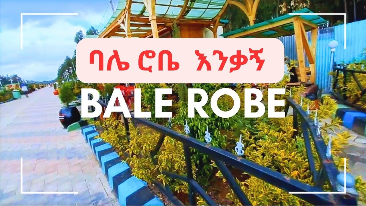 ከመነሃርያ ጀምሮ ባሌ ሮቤ መታየት ያለበት Bale Robe 2024 #4KVideo #BaleRobe #StreetWalking #BusStation #GreenPlaces