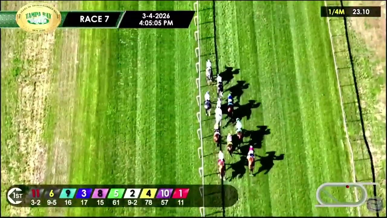 7ma Carrera de Tampa Bay Downs | Miercoles 4 de Marzo de 2026