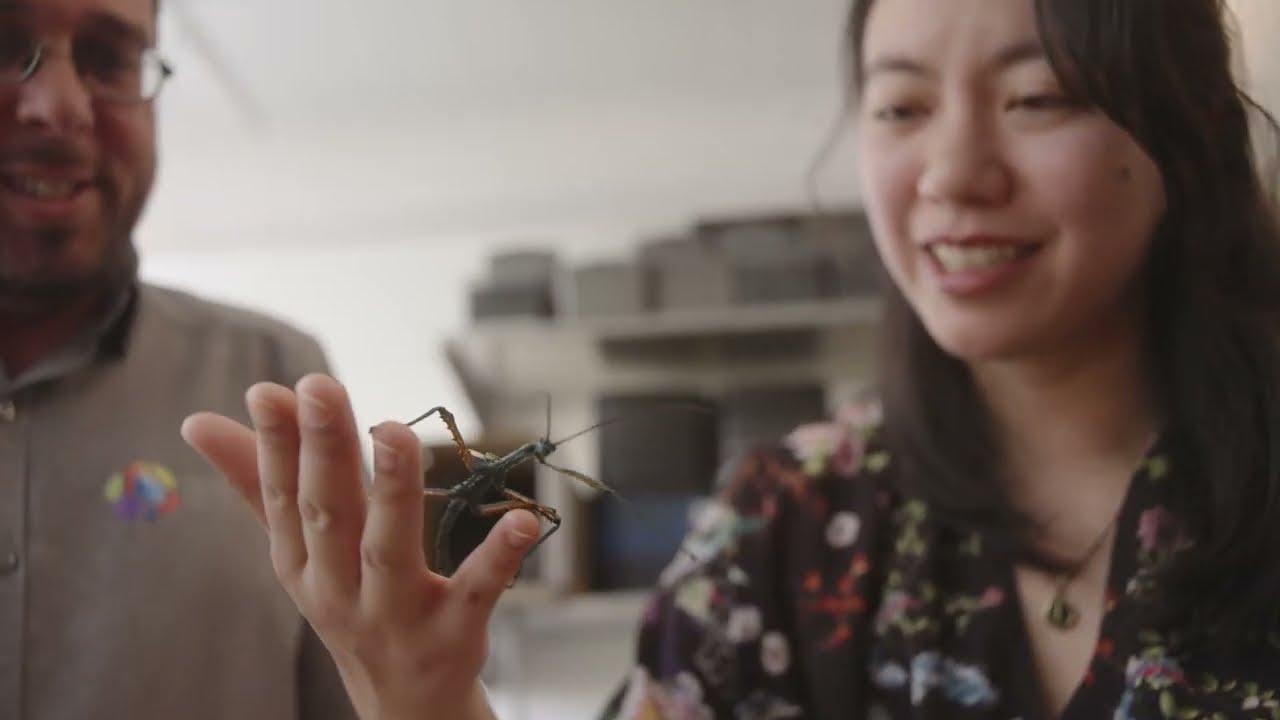Célébration de l'entomophilie avec Claudia Chan Tak