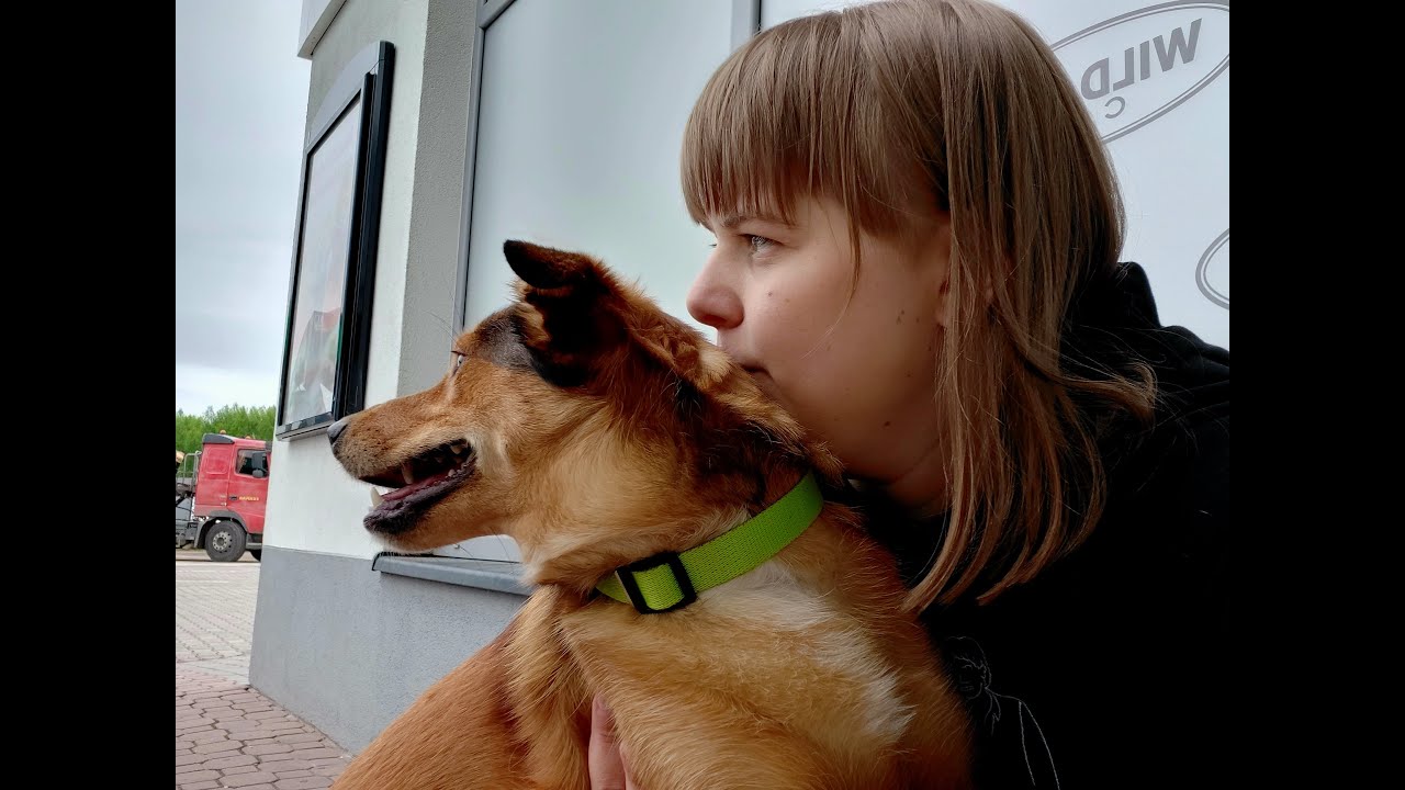 NASZ DZIELNY PACJENT! 🐶❤️