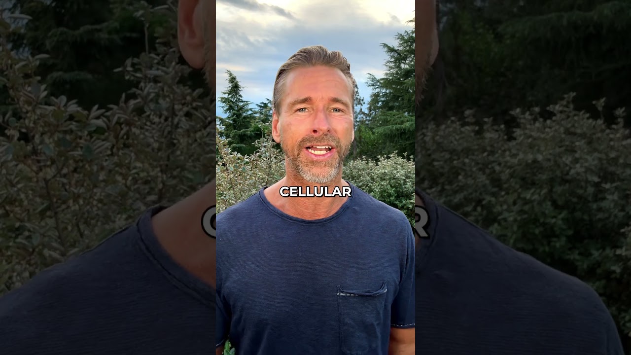 SHOCKING Ways to Boost NAD For Free |Niklas Gustafson