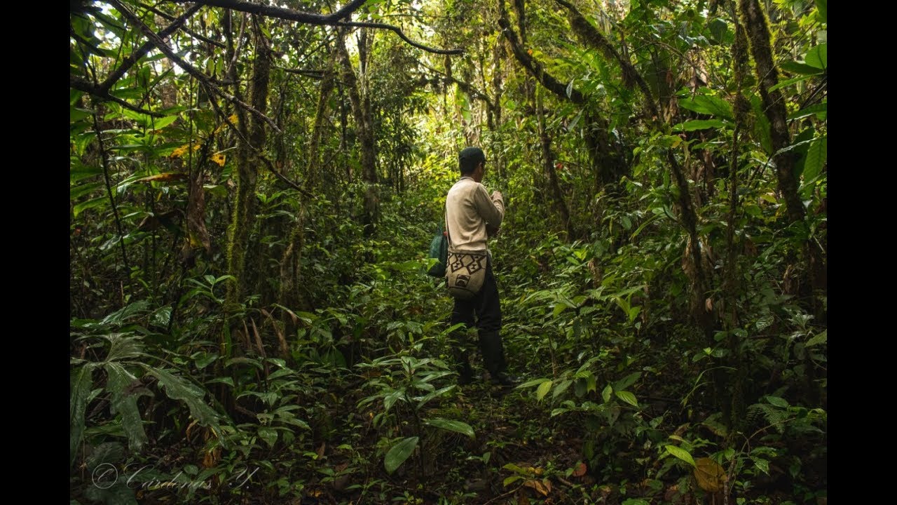 Lerma-Cauca Una apuesta de paz con la naturaleza