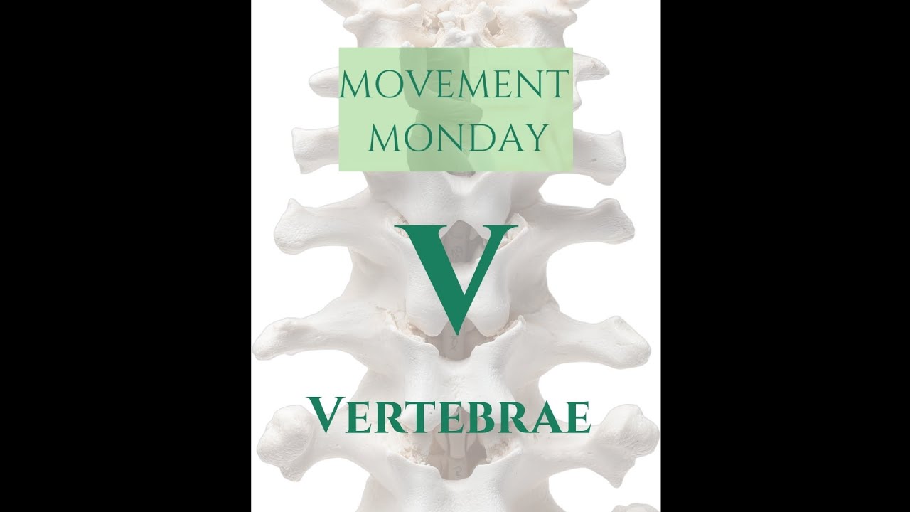 How Your Vertebrae Move & The Link To Back Pain | Movement Monday