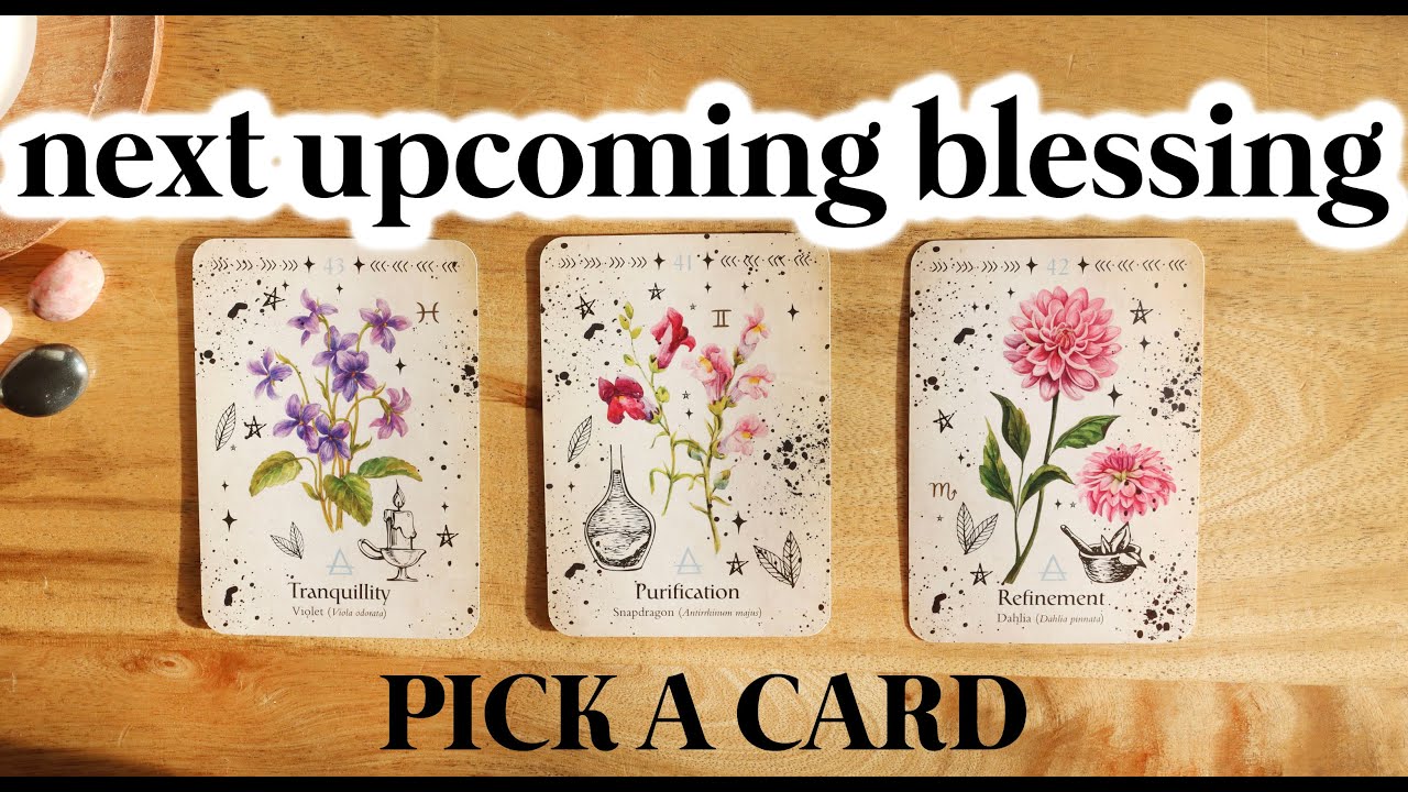 NEXT BIG BLESSING TO LOOK FORWARD TO! ✨🔮 PICK A CARD 🔮✨