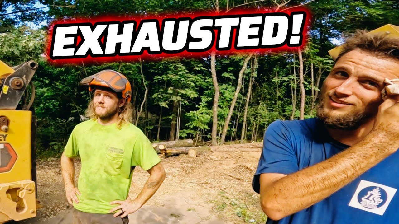 Removing 38 Trees! Boss Man Is Spending Too Much Money | CAT 299D3 × BC1000 Wood Chipper