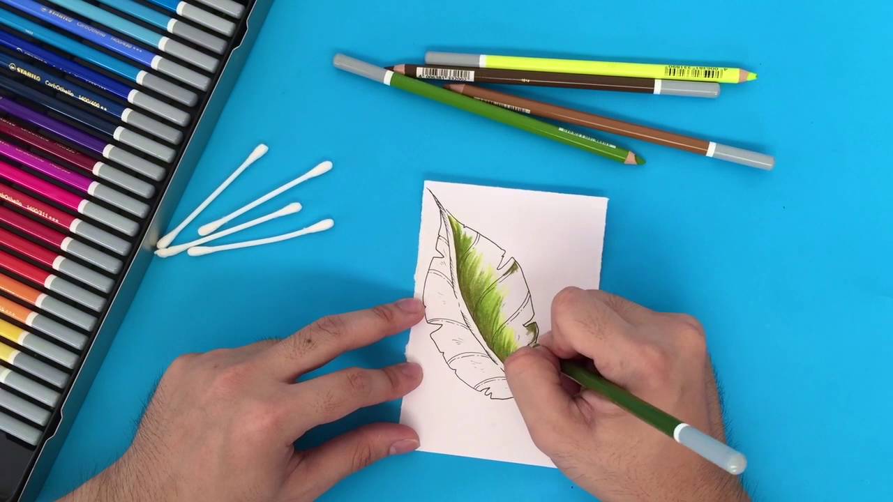 Blend colors easily using Stabilo CarbOthello chalk-pastel coloring pencils