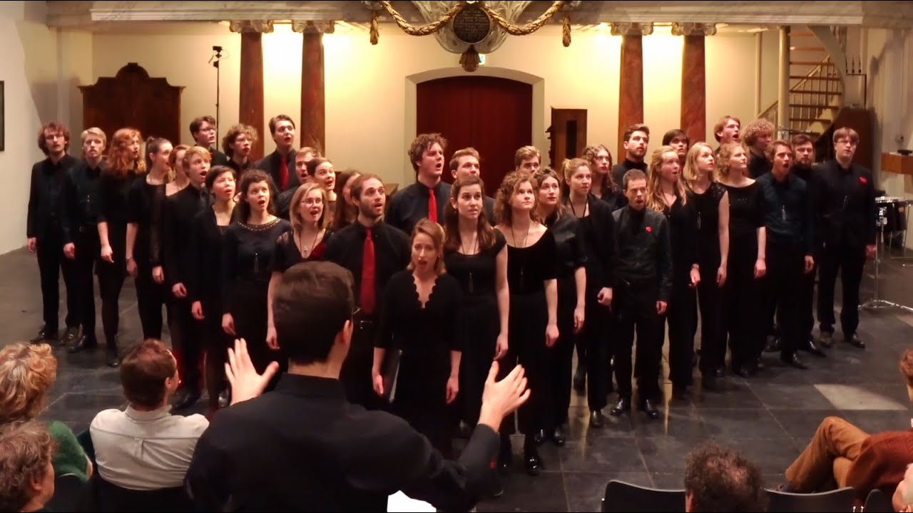 Ravel - Trois beaux oiseaux du paradis | Nederlands Studenten Kamerkoor