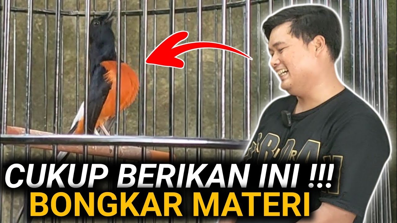 JANGAN TERBURU-BURU GANTI RAWATAN DRK MURAI BATU TERBARU