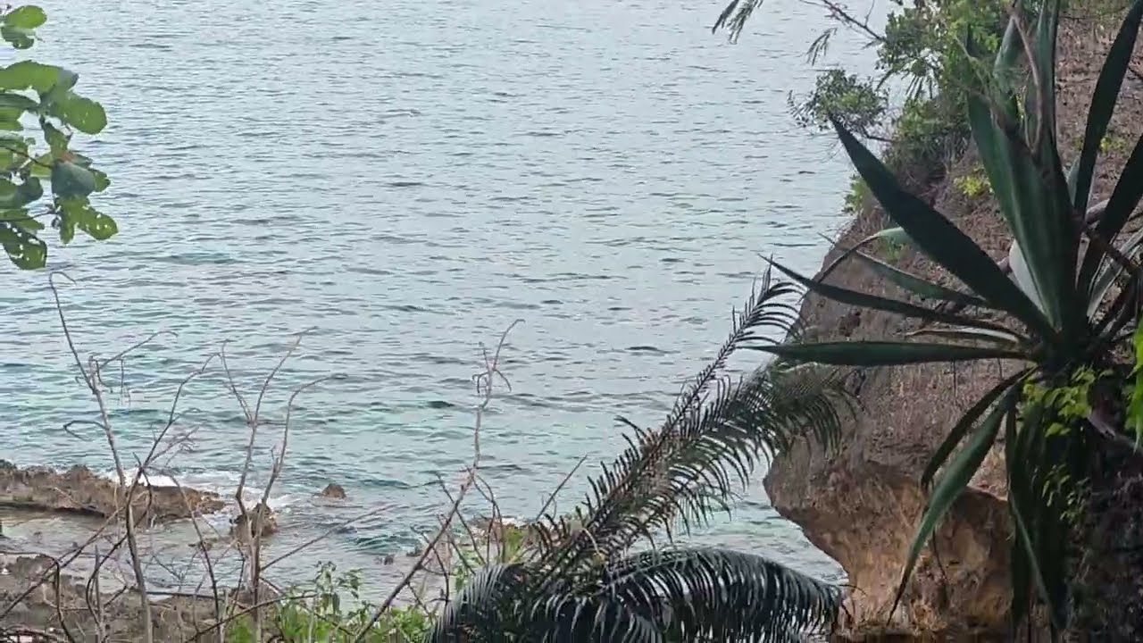 SANKTUARIUM OCEANICZNE LAZI SIQUIJOR ISLAND PHILIPPINES 🥰🥰🥰🥰🥰🥰🥰🥰🥰🇵🇭🇵🇭🇵🇭🇵🇭🇵🇭🇵🇭🇵🇭