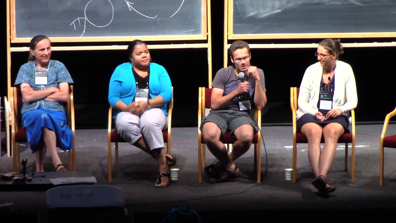 Panel discussion on careers part 2