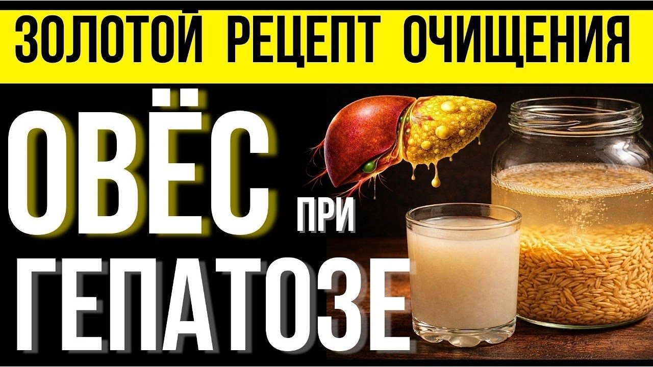 Овёс для печени: как правильно заваривать при гепатозе и восстановить её работу