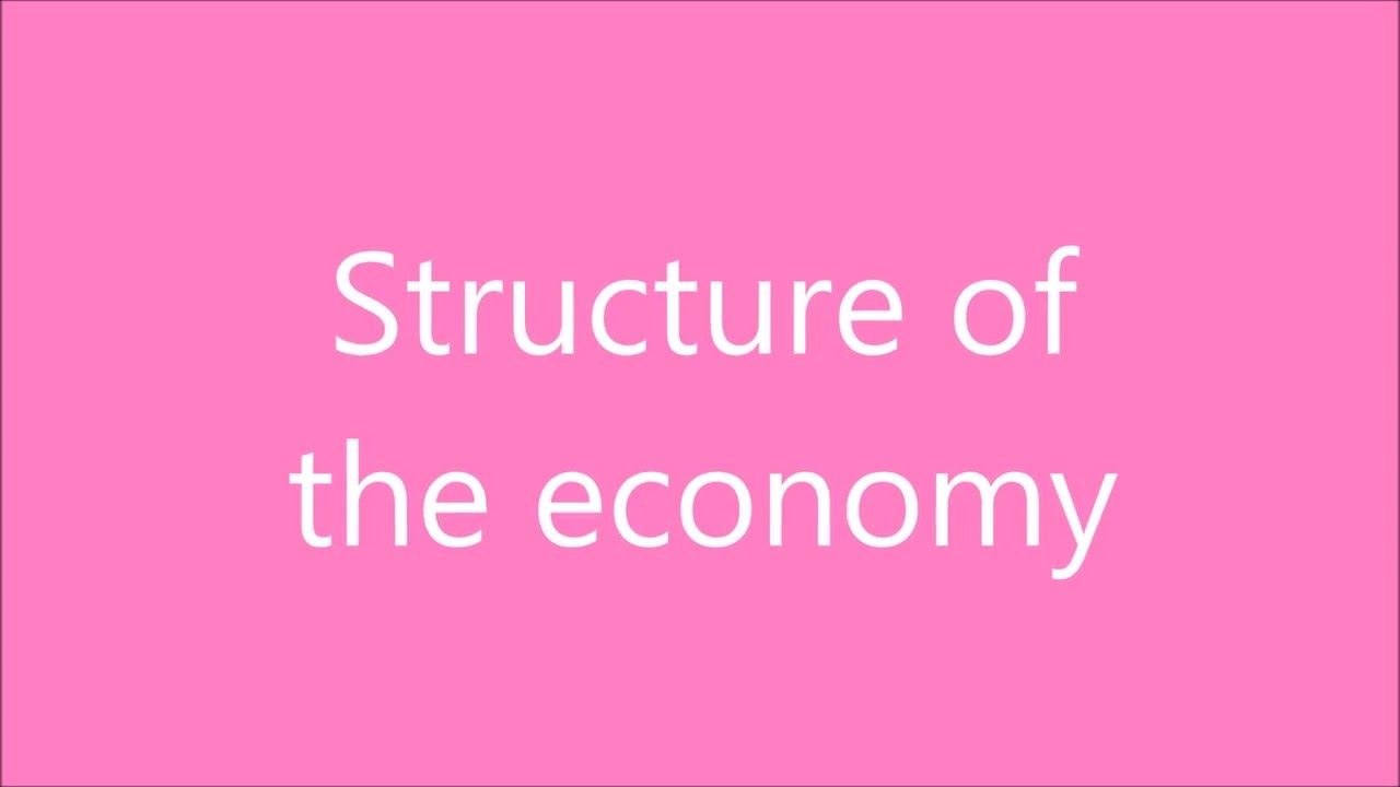 The common and diverse characteristics of developing countries