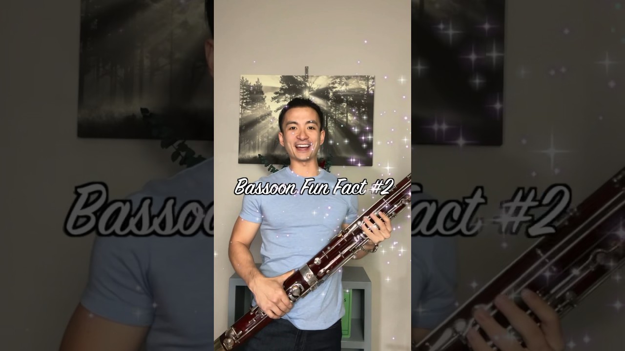 are bassoons double reed instruments???