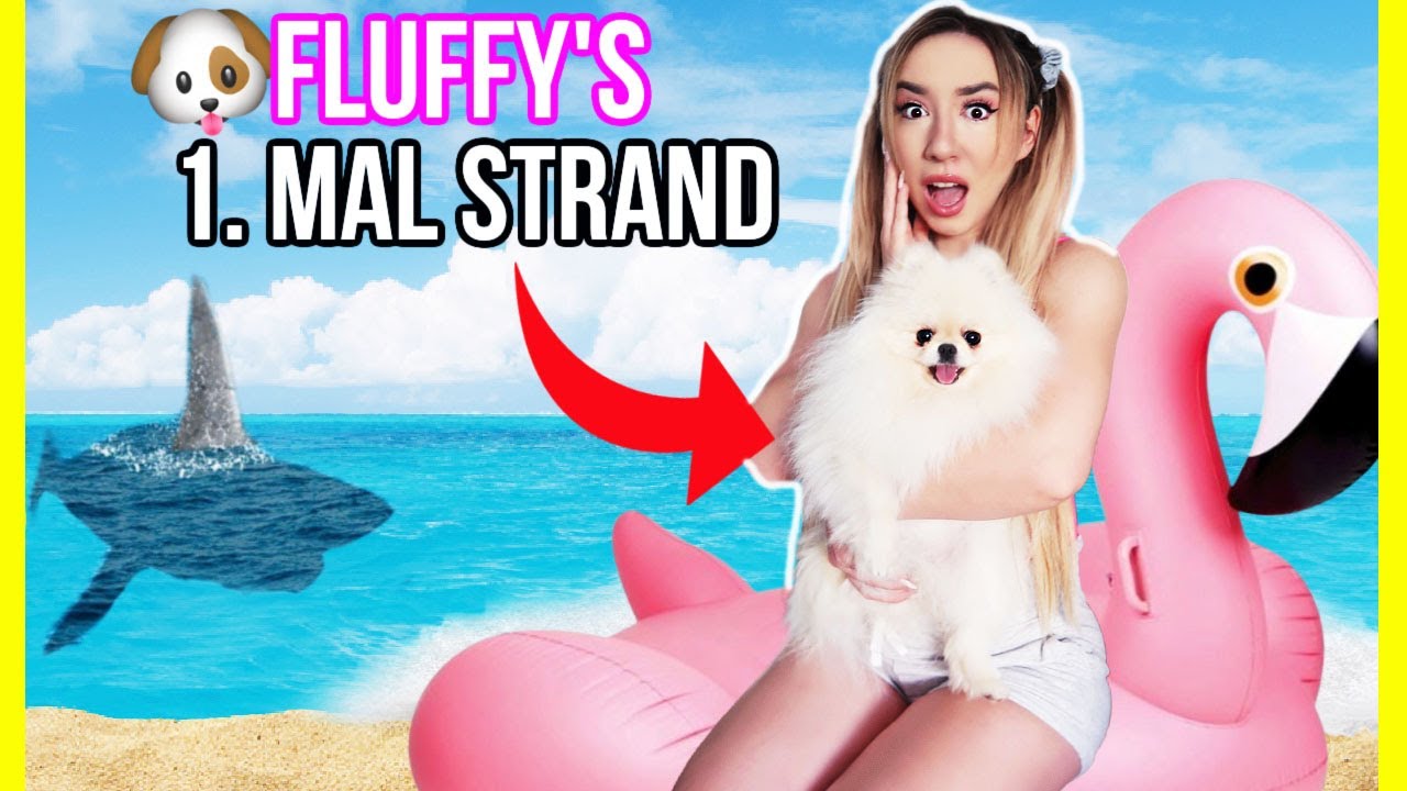 GEHE niemals mit FLUFFY an den STRAND & ins MEER wenn DU weiße NIKE Air Force an hast (kein 3 Uhr)