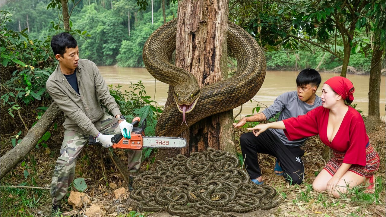Brave CEO Uses Chainsaw to Capture GIANT Anaconda Nest in the Amazon – What happens next?