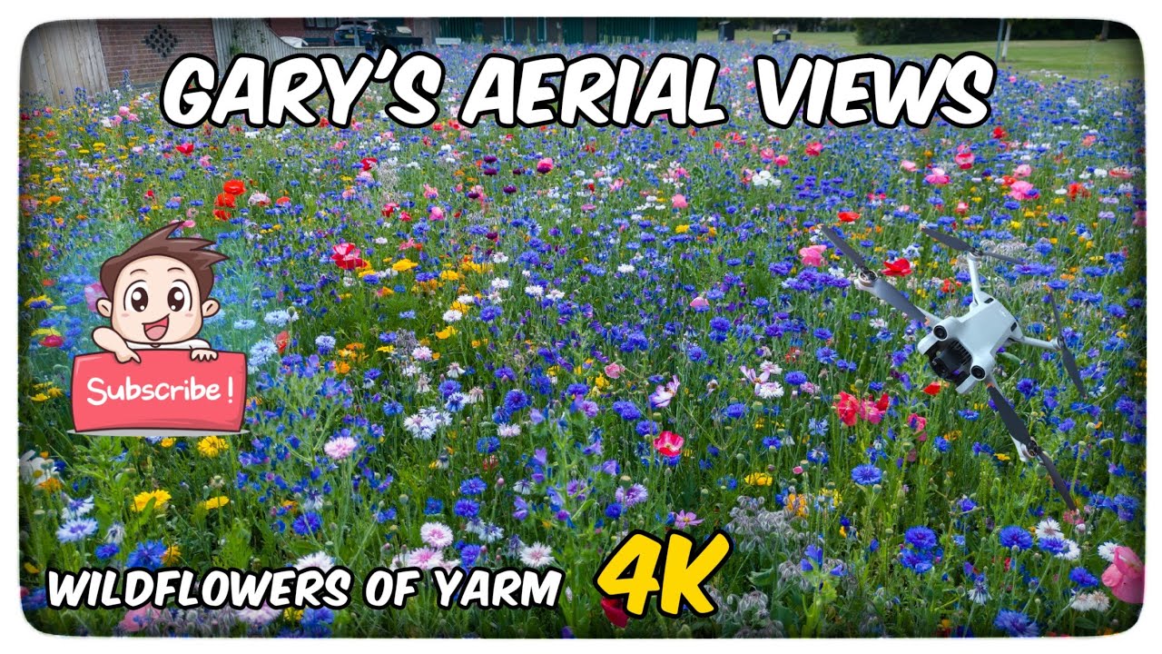 4k Cinematic Drone Footage // Wildflowers of Yarm