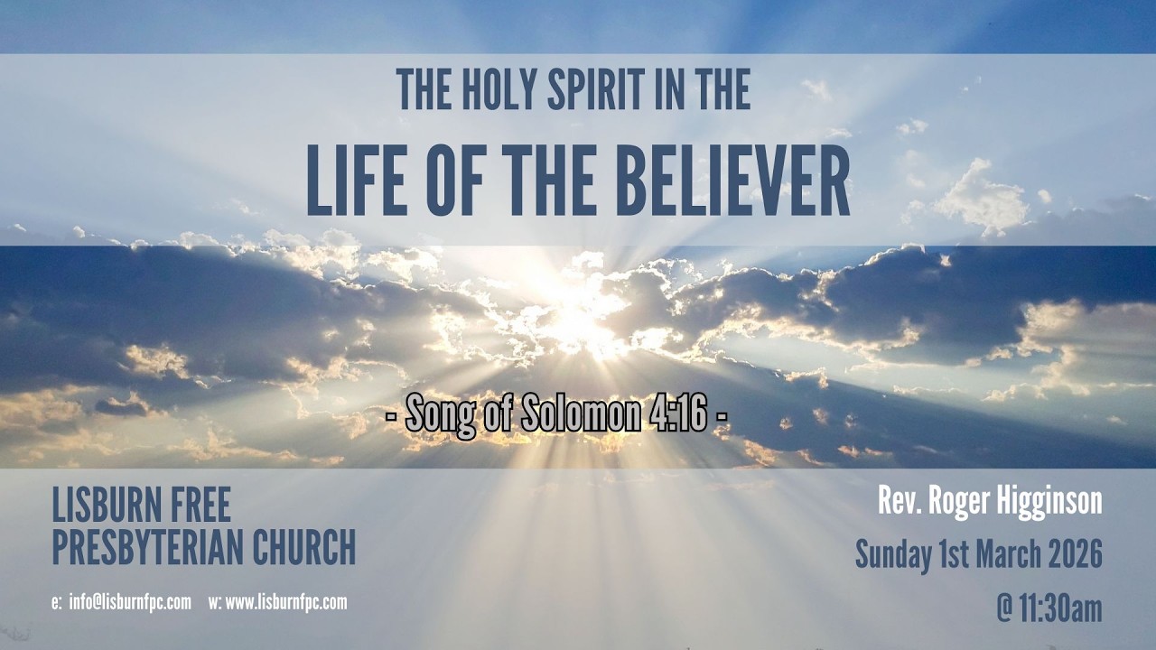 The Holy Spirit in the Life of the Believer
