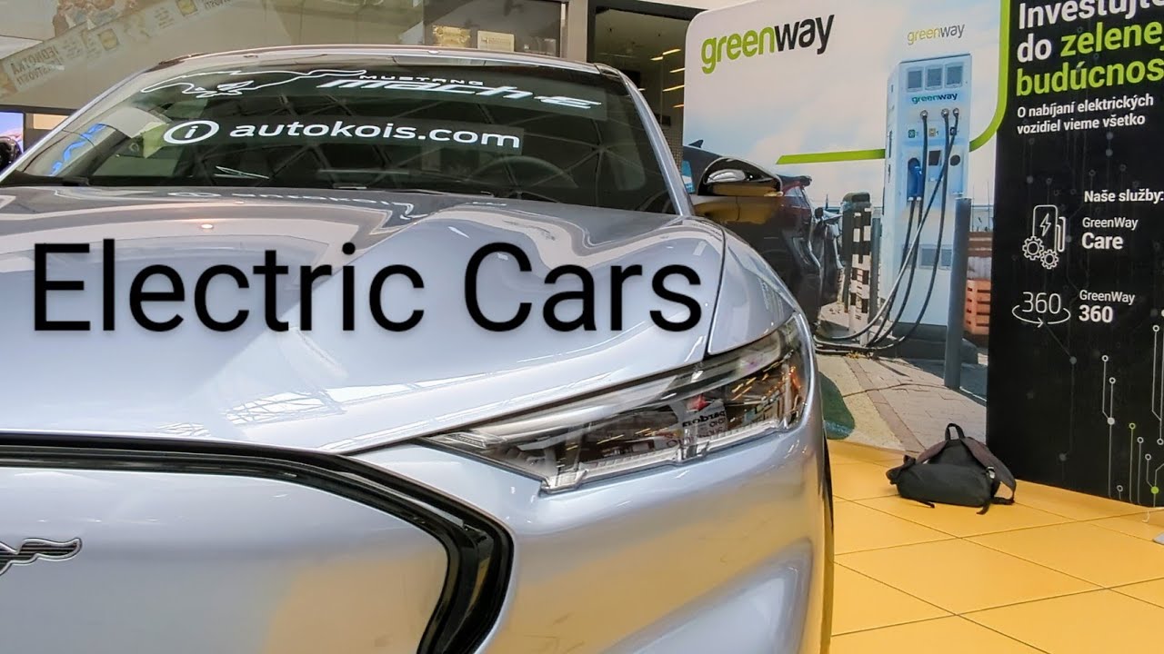 Electric cars - Auto show Trenčín 2024 -  Green line energy - Would you buy it?