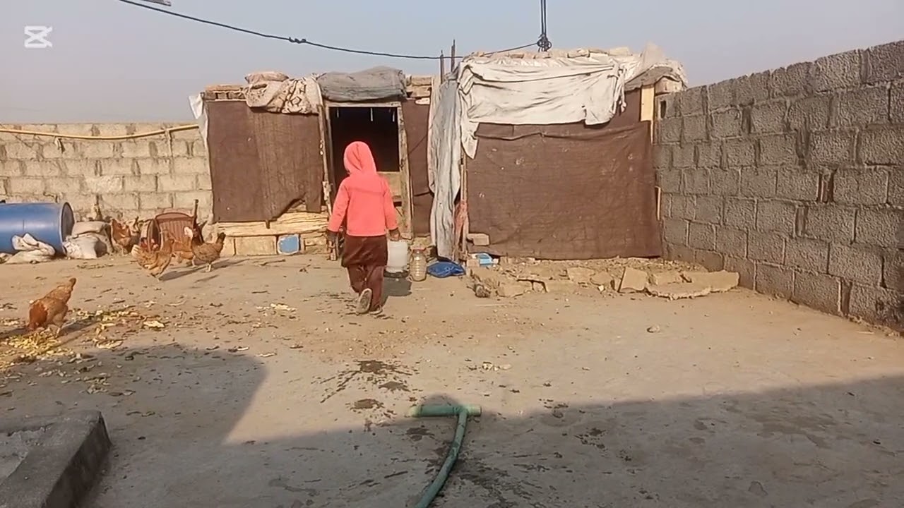 Rani khait bimari ka elag