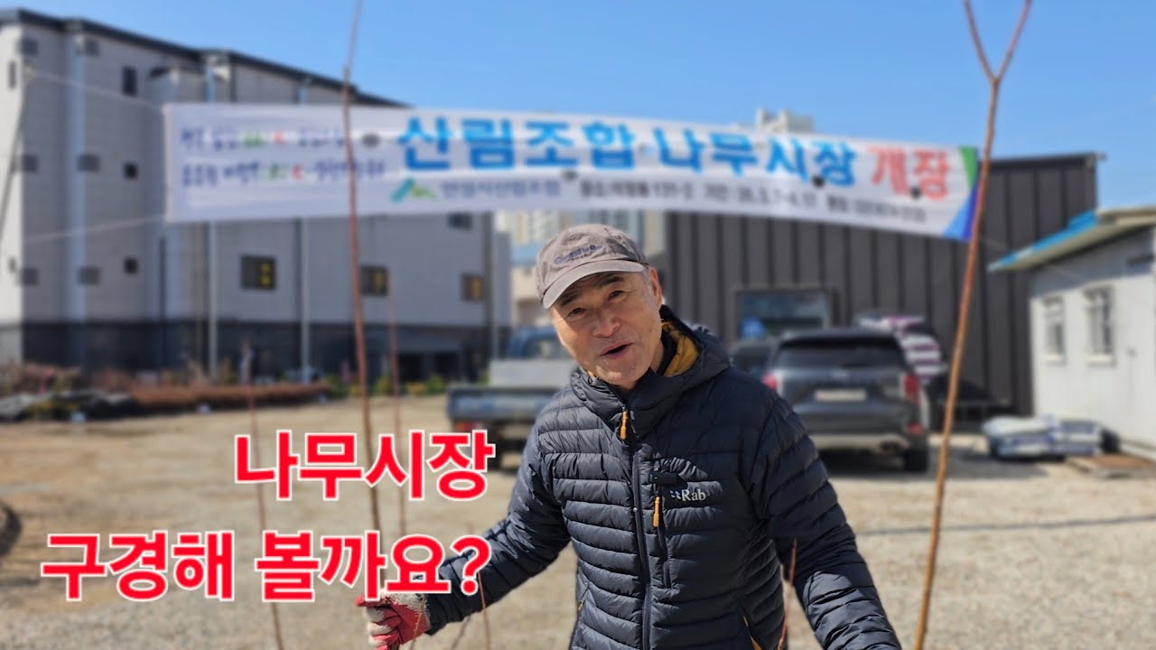 나무시장(산림조합)오픈날 출동