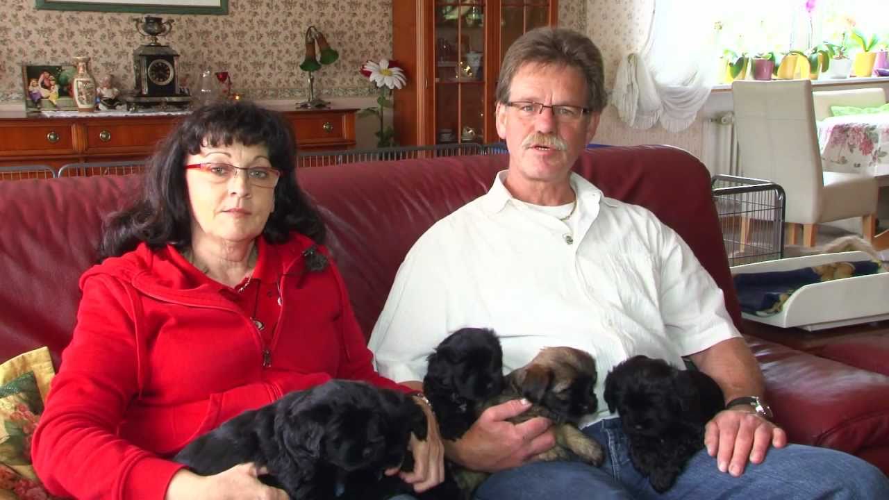 Rangshi TIbet Terrier Hobbyzucht - Wir stellen uns vor