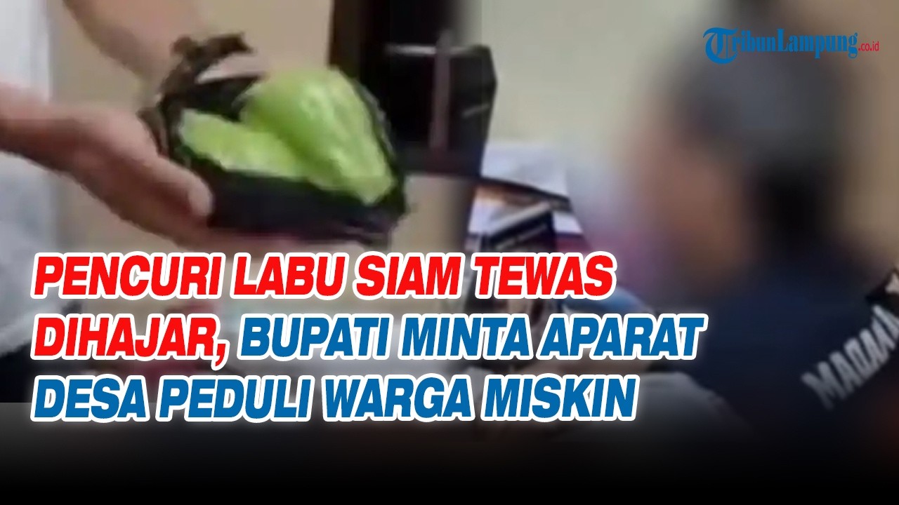 Pencuri Labu Siam Tewas Dihajar, Bupati Minta Aparat Desa Peduli Warga Miskin