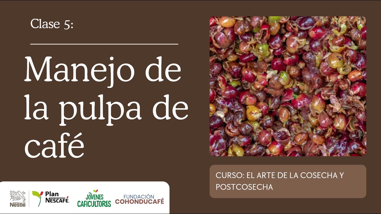 Clase: Manejo de la Pulpa de Café