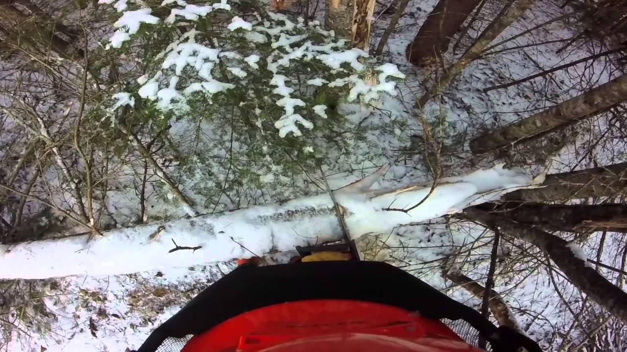sthil MS-170  GoPro