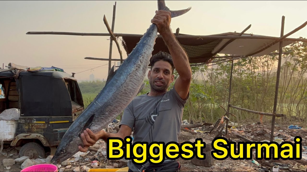 Mumbai Wholesale Fish Market 2022 | Taloja Fish Market | Subse sasta Fish Market