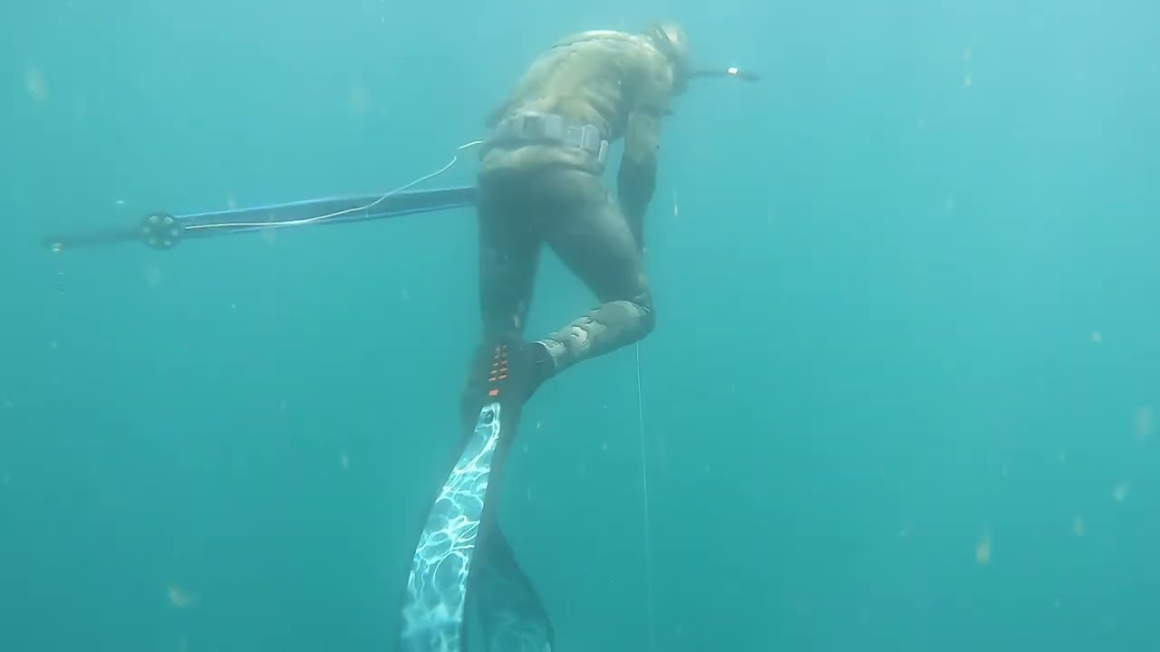 Bluff KZN Dive 2025