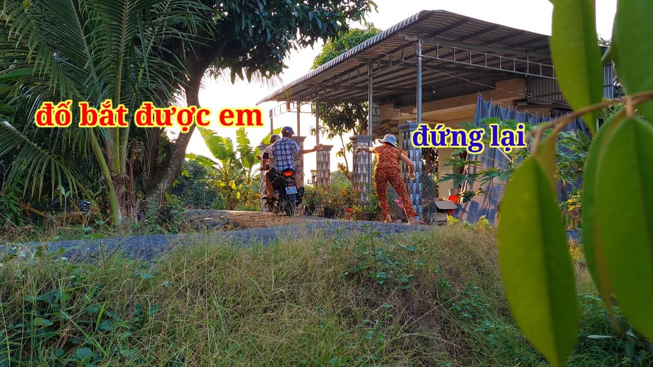 Cô 3 bị Phước Lầy và Cậu 7 hack não tá quả tâm tinh #phuoclay