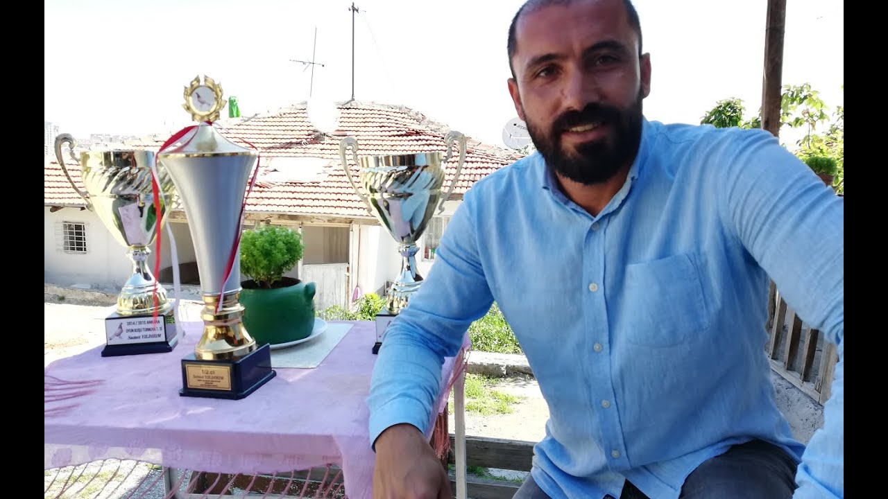 Güzel İnsanın Şampiyon Kuşları. Ankara Şampiyonu Samet Yıldırım. Ankara Performans Taklacı Güvercin