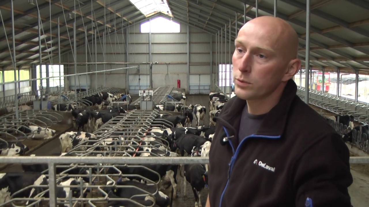 Daan Aalberts over de Solidex melkstal met basement