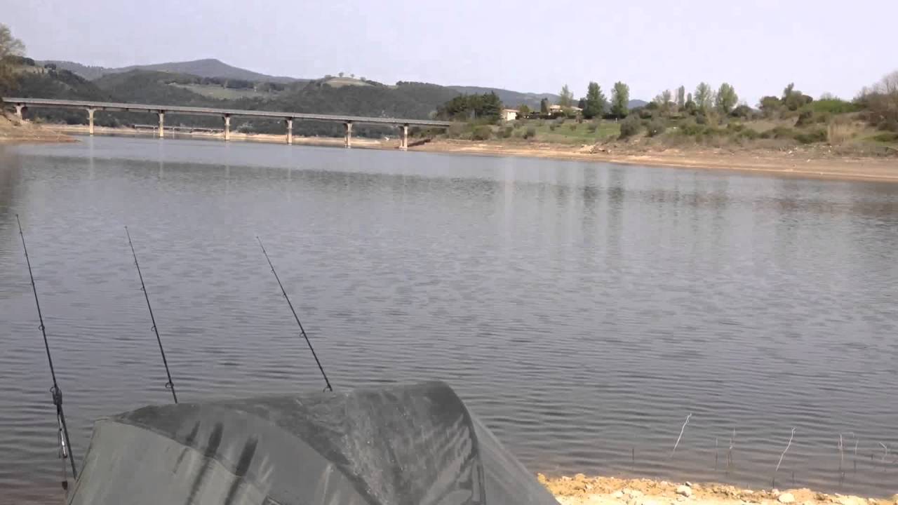 Carpfishing Lago di Corbara