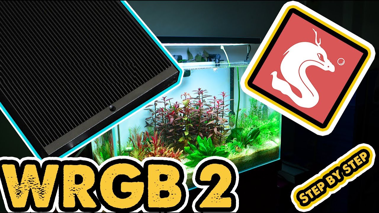 [HƯỚNG DẪN] Sử dụng đèn WRGB 2 và app MyChihiros