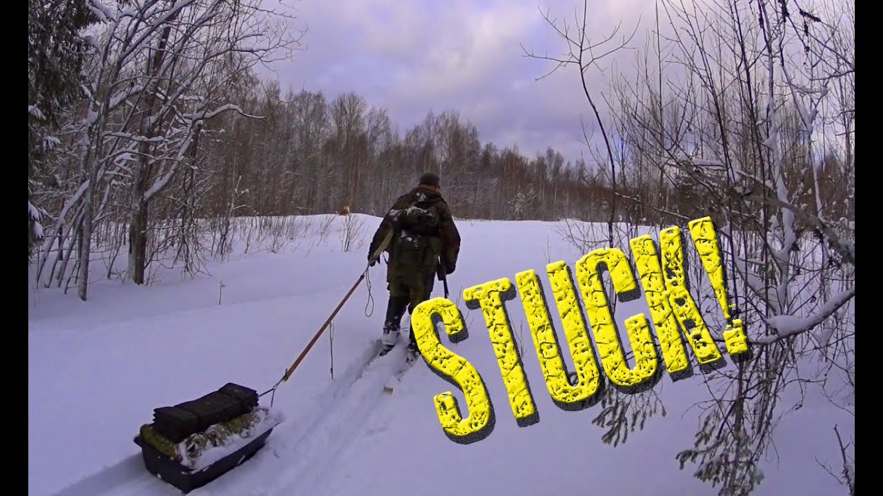 Stuck in the Woods Over Night