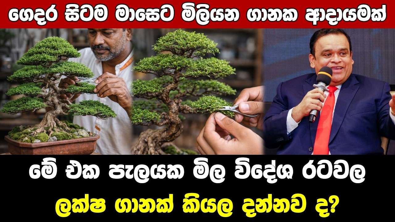 ගෙදර ඉඳන්ම පැල හිටවලා මේ වගේ ආදායමක් !