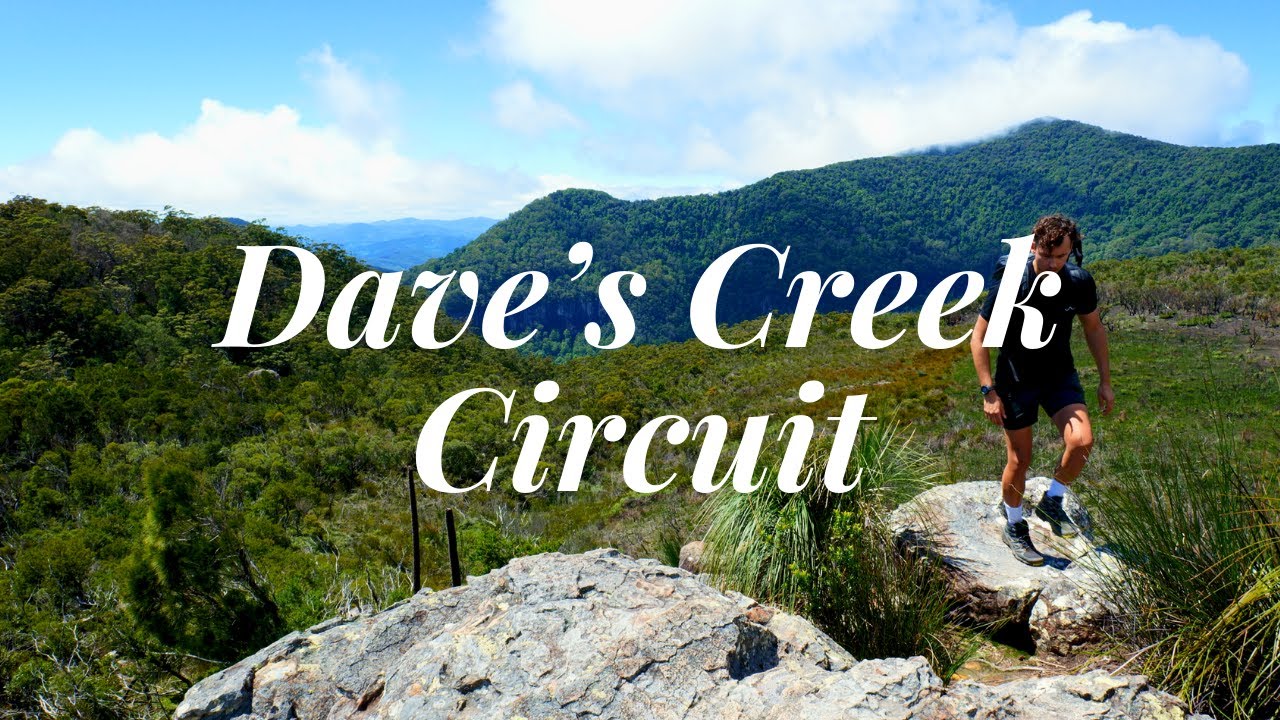 Dave’s Creek Circuit in Binna Burra | Hiking Gold Coast | 4K