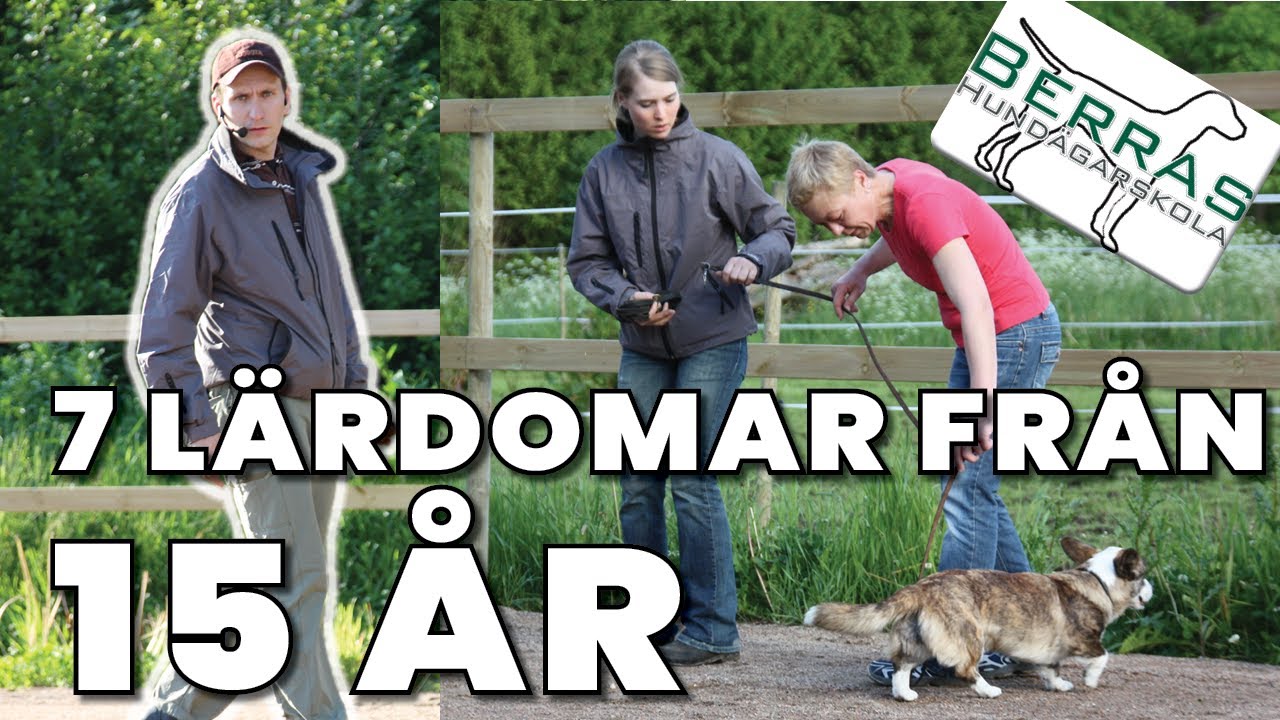 Lärdomar & Reflektioner efter 15 år med Hundskola