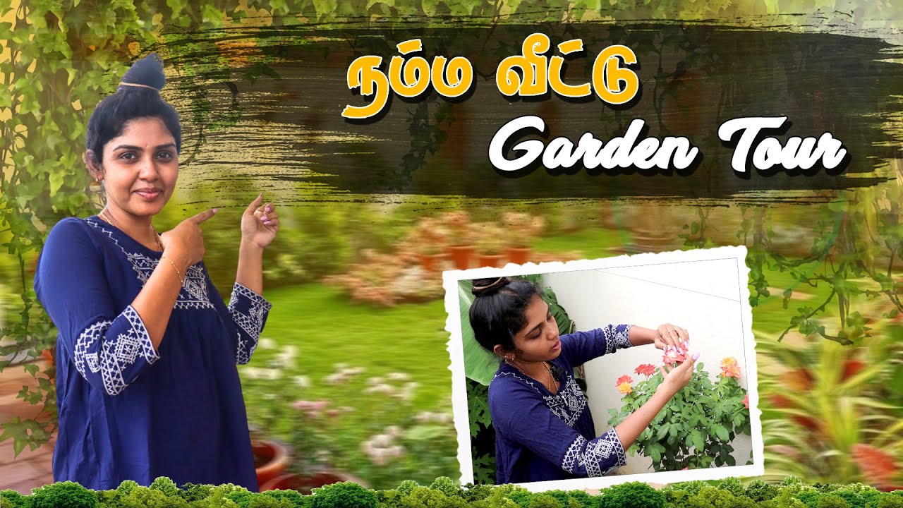 இந்த செடி என் இப்படி ஆச்சு? | Full Garden Tour | Hema's Diary