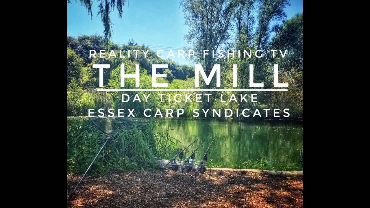 Reality Carp Fishing TV - The Mill Day Ticket Lake - Essex Carp Syndicates
