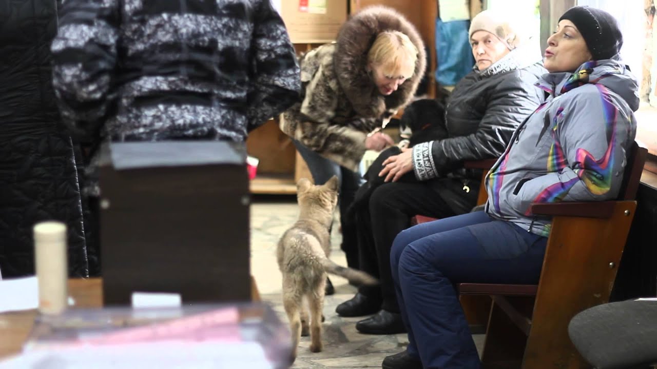 ОЗЖ 