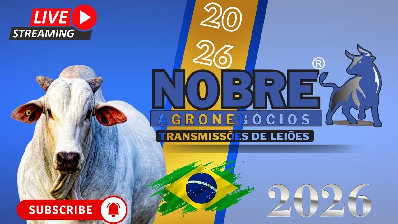 LEILÃO DE GADO / MARTELO DE OURO LEILÕES 06/02