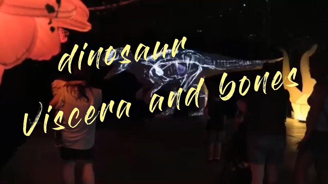 dinosaur museum, interactive dinosaur exhibit, traveling dinosaur exhibition, dinosaur exhibition